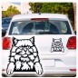 Preview: Britisch Langhaar Katze Kitty Auto Aufkleber Autoaufkleber Sticker Aufkleber A1141