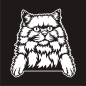 Preview: Britisch Langhaar Katze Kitty Auto Aufkleber Autoaufkleber Sticker Aufkleber A1141e Kitty Auto Aufkleber Autoaufkleber Sticker Aufkleber A1141