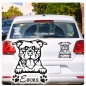 Preview: American Pitbull Terrier Bullterrier Name Pfoten Autoaufkleber Auto Aufkleber Sticker A898