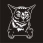 Preview: Burma Katze Kitty Auto Aufkleber Autoaufkleber Sticker Aufkleber A1196