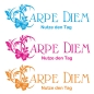 Preview: Carpe Diem Wandtattoo Nutze den Tag Wandaufkleber W660