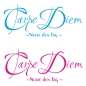 Preview: Carpe Diem Wandtattoo Wandaufkleber Nutze den Tag W859