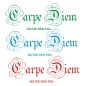 Preview: Carpe Diem Wandtattoo Nutze den Tag Wandaufkleber W921