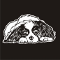 Preview: Auto Aufkleber Cavalier King Charles Spaniel Heckscheibe A697