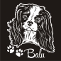 Preview: Cavalier King Charles Spaniel Auto Aufkleber Name Autoaufkleber Hund Pfoten A187