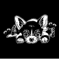 Preview: Auto Aufkleber Chihuahua Autoaufkleber Hunde Sticker Pfoten Motorhauben A1206