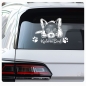 Preview: Auto Aufkleber Chihuahua Pfoten Autoaufkleber Hund Sticker A4045