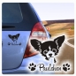 Preview: Auto Aufkleber Chihuahua Name Autoaufkleber Hund Pfoten clickstick A463