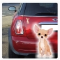 Preview: Auto Aufkleber Chihuahua Autoaufkleber Hund Pfoten Sticker Digitaldruck DA526