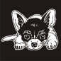 Preview: Auto Aufkleber Chihuahua Autoaufkleber Hund A1310