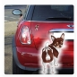 Preview: Auto Aufkleber Chihuahua Autoaufkleber Hund Pfoten Sticker Digitaldruck DA012