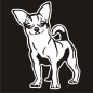 Preview: Auto Aufkleber Chihuahua Autoaufkleber Hund Hunde Sticker Pfoten A419