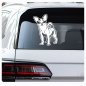 Preview: Auto Aufkleber Chihuahua Autoaufkleber Hund Hunde Sticker Pfoten A419