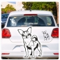 Preview: Auto Aufkleber Chihuahua Autoaufkleber Hund Hunde Sticker Pfoten A419