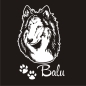 Preview: Hundeaufkleber Collie Auto Aufkleber Autoaufkleber Sticker A269