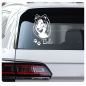Preview: Hundeaufkleber Collie Auto Aufkleber Autoaufkleber Sticker A269