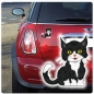 Preview: Autoaufkleber Katze Kätzchen Auto Aufkleber Sticker Digitaldruck Kitty DA036