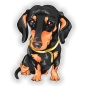 Preview: Autoaufkleber Dackel Teckel Autoaufkleber Sticker Digitaldruck Dachshund DA2020