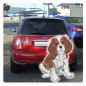 Preview: Digitaldruck Auto Aufkleber Cavalier King Charles Spaniel Hundeaufkleber Sticker DA519