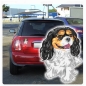 Preview: Digitaldruck Auto Aufkleber Cavalier King Charles Spaniel Hundeaufkleber Sticker DA516