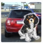 Preview: Digitaldruck Auto Aufkleber Cavalier King Charles Spaniel Hundeaufkleber Sticker DA515