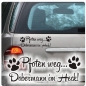 Preview: Pfoten weg... Dobermann im Heck Auto Aufkleber Sticker Pfote A564