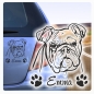 Preview: Autoaufkleber Englische Bulldogge Name clickstick Aufkleber Hund Pfoten A226