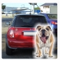 Preview: Englische Bulldogge Autoaufkleber Auto Aufkleber Sticker Digitaldruck DA2018