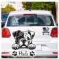 Preview: Englische Bulldogge Name Autoaufkleber Auto Aufkleber Sticker Hund Pfoten A4269