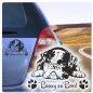 Preview: Autoaufkleber Englische Bulldogge Name clickstick Aufkleber Hund Pfoten A4062