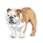 Preview: Englische Bulldogge Auto Aufkleber Hund Pfoten Sticker Digitaldruck DA520