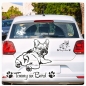 Preview: Französische Bulldogge Name Auto Aufkleber Hundeaufkleber Autoaufkleber Sticker A614