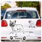 Preview: Französiche Bulldogge Bully Name Pfoten Autoaufkleber Auto Aufkleber Sticker A1224