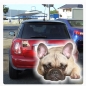Preview: Autoaufkleber Französische Bulldogge Sticker Digitaldruck DA2000