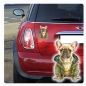 Preview: Französiche Bulldogge Pullover Jacke Auto Aufkleber Sticker Digitaldruck DA400