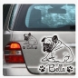 Preview: Französische Bulldogge Welpe Autoaufkleber Auto Aufkleber Sticker Hund Pfoten A4194