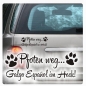 Preview: Pfoten weg...Galgo Español im Heck Auto Aufkleber Hund Sticker Pfoten A708