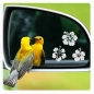Preview: Hibiskus Blumen Blüten Hawaii Glasgravur Autospiegel Aufkleber Sticker G001