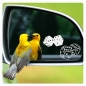 Preview: Würfel Rockabilly Glasgravur Etched Glass Auto Spiegel Sticker clickstick G004