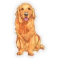 Preview: Auto Aufkleber Golden Retriever Autoaufkleber Hund Sticker Digitaldruck DA522