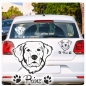Preview: Auto Aufkleber Golden Retriver Name Autoaufkleber Hund Pfoten clickstick A591