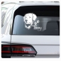 Preview: Hundeaufkleber Golden Retriever  Auto Aufkleber Autoaufkleber Sticker A270