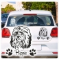 Preview: Hundeaufkleber Malteser Havaneser Bologneser Bolonka Autoaufkleber Sticker A251