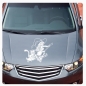 Preview: Hexe Katze Hexenkutsche Auto Aufkleber Motorhaube Walpurgishexe Witch A4245