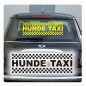 Preview: Auto Aufkleber Hunde Taxi Autoaufkleber Sticker A4091