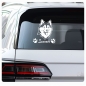 Preview: Hundeaufkleber Siberian Husky Name Pfoten Aufkleber A395