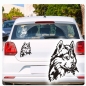 Preview: Siberian Husky Autoaufkleber Auto Aufkleber Sticker Hund Pfoten Kopf Hundeaufkleber A1723