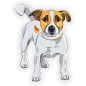 Preview: Autoaufkleber Jack Russell Terrier Pfoten Sticker Auto Digitaldruck DA512