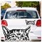 Preview: Auto Aufkleber Katze schaut raus Kätzchen Autoaufkleber clickstick A599