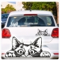 Preview: Auto Aufkleber Katze schaut raus Kätzchen Autoaufkleber clickstick A731